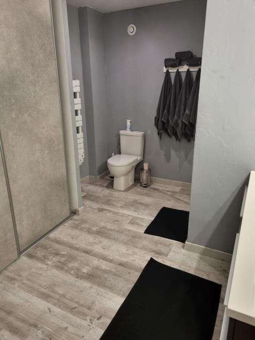 Grand Appartement Pres De La Cathedrale De Κεμπέρ Εξωτερικό φωτογραφία